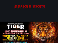 토토사이트 타이거 토토사이트먹튀